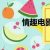 情趣電影（關于情趣電影的簡介）