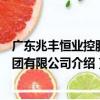 廣東兆豐恒業控股集團有限公司（關于廣東兆豐恒業控股集團有限公司介紹）