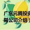 廣東元騰投資有限公司（關于廣東元騰投資有限公司介紹）
