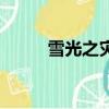 雪光之災（關于雪光之災的簡介）