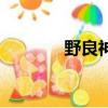 野良神（關于野良神的簡介）