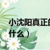 小沈陽真正的名字叫什么?（小沈陽的原名叫什么）