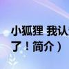 小狐貍 我認定你了！（關于小狐貍 我認定你了！簡介）