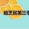 暗芝居第三季（關于暗芝居第三季的簡介）