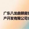 廣東八龍鼎頤房地產開發有限公司（關于廣東八龍鼎頤房地產開發有限公司介紹）