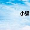 小狐貍（關于小狐貍簡介）