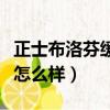 正士布洛芬緩釋膠囊怎么樣（布洛芬緩釋膠囊怎么樣）
