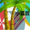 小狐昔里（關于小狐昔里簡介）