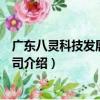 廣東八靈科技發展有限公司（關于廣東八靈科技發展有限公司介紹）