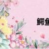 鱷魚（關于鱷魚的簡介）