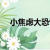 小焦慮大恐怖（關于小焦慮大恐怖簡介）