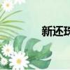 新還珠（關于新還珠的簡介）