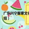 廣東興寧客家文化藝術節（關于廣東興寧客家文化藝術節介紹）