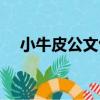 小牛皮公文包（關于小牛皮公文包簡介）