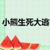 小熊生死大逃亡（關于小熊生死大逃亡簡介）