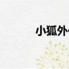 小狐外傳（關于小狐外傳簡介）