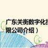 廣東關衡數字化技術有限公司（關于廣東關衡數字化技術有限公司介紹）