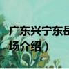 廣東興寧東岳宮市場（關于廣東興寧東岳宮市場介紹）