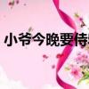 小爺今晚要侍寢（關于小爺今晚要侍寢簡介）