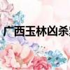 廣西玉林兇殺案圖片（廣西玉林殺人碎尸案）