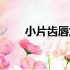 小片齒唇蘭（關于小片齒唇蘭簡介）