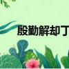 殷勤解卻丁香結縱放繁枝散誕春的意思