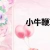 小牛鞭草（關于小牛鞭草簡介）