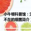 小牛頓科普館：無所不在的細菌（關于小牛頓科普館：無所不在的細菌簡介）