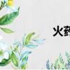 火藥（關于火藥的簡介）