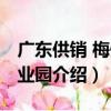 廣東供銷 梅州產業園（關于廣東供銷 梅州產業園介紹）
