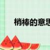 梢棒的意思是什么簡單（梢棒的意思）
