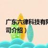 廣東六律科技有限責任公司（關于廣東六律科技有限責任公司介紹）