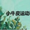 小牛皮運動鞋（關于小牛皮運動鞋簡介）