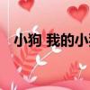 小狗 我的小狗（關于小狗 我的小狗簡介）