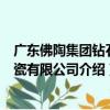 廣東佛陶集團鉆石陶瓷有限公司（關于廣東佛陶集團鉆石陶瓷有限公司介紹）