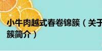 小牛肉越式春卷錦簇(關于小牛肉越式春卷錦簇簡介)