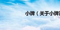 小牌(關于小牌簡介)