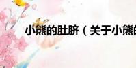 小熊的肚臍(關于小熊的肚臍簡介)