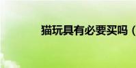 貓玩具有必要買嗎(貓玩具)