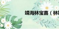 靖海林寶喜(林靖海)