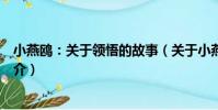 小燕鷗:關于領悟的故事(關于小燕鷗:關于領悟的故事簡介)