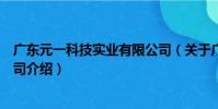 廣東元一科技實業有限公司(關于廣東元一科技實業有限公司介紹)
