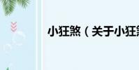 小狂煞(關于小狂煞簡介)