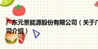 廣東元景能源股份有限公司(關于廣東元景能源股份有限公司介紹)