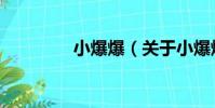 小爆爆(關于小爆爆簡介)