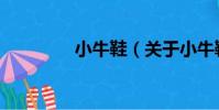 小牛鞋(關于小牛鞋簡介)