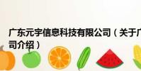 廣東元宇信息科技有限公司(關于廣東元宇信息科技有限公司介紹)