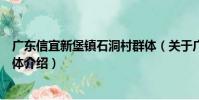 廣東信宜新堡鎮石洞村群體(關于廣東信宜新堡鎮石洞村群體介紹)