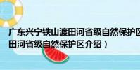 廣東興寧鐵山渡田河省級自然保護區(關于廣東興寧鐵山渡田河省級自然保護區介紹)