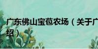 廣東佛山寶苞農場(關于廣東佛山寶苞農場介紹)